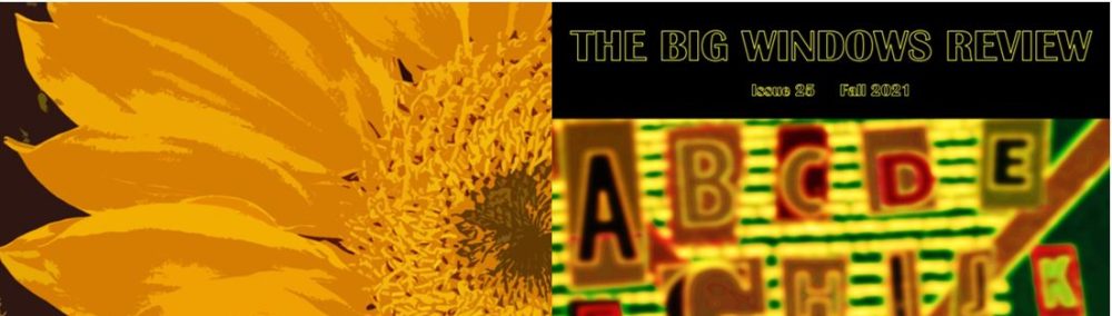 THE BIG WINDOWS REVIEW