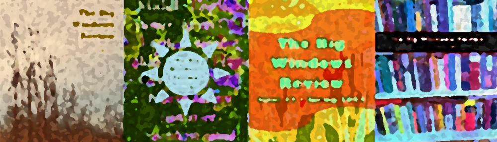 THE BIG WINDOWS REVIEW